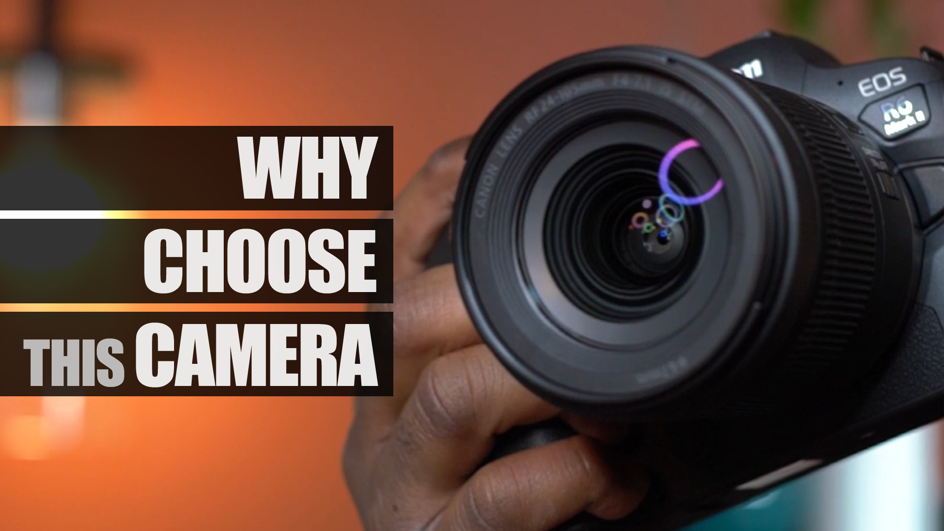 Canon EOS R6 Mark II - Image 15