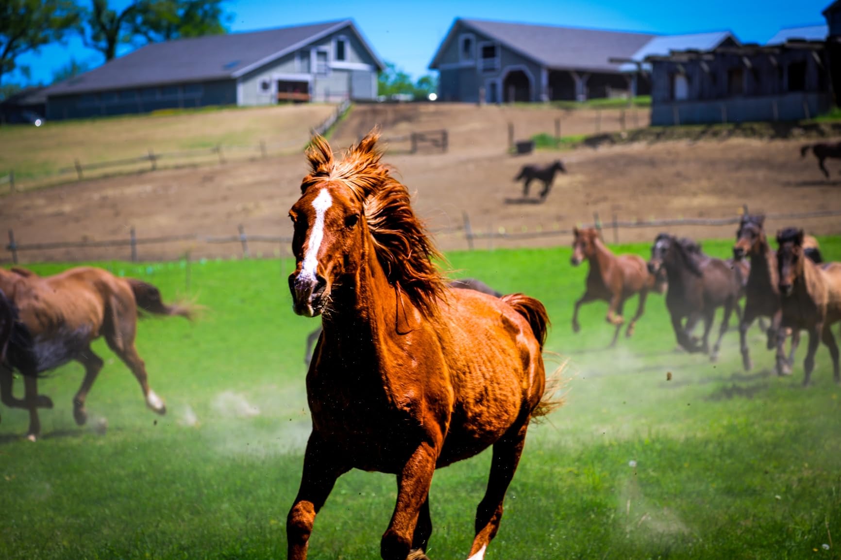 Canon EOS R6 Mark II - Image 9