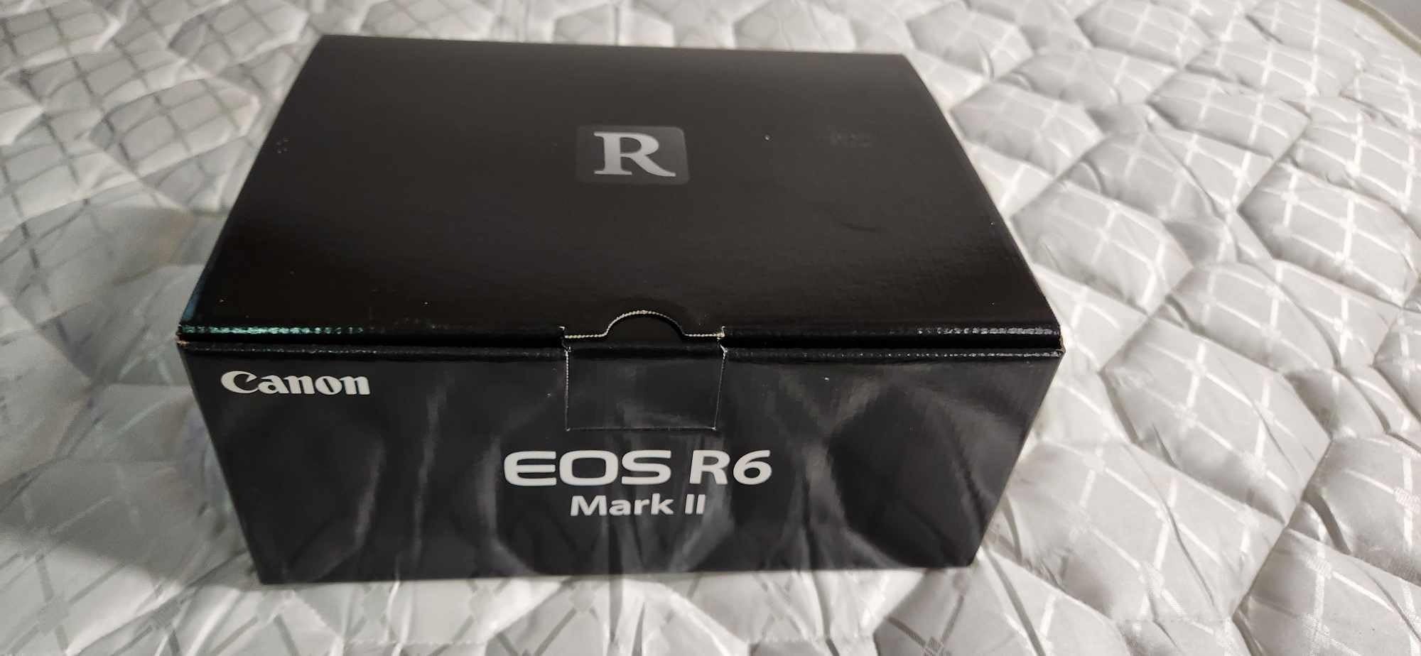 Canon EOS R6 Mark II - Image 10