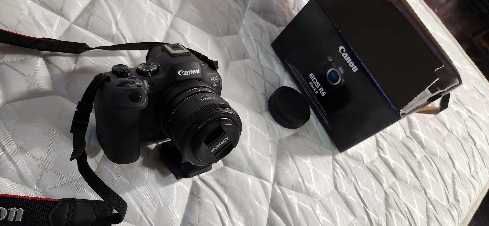 Canon EOS R6 Mark II - Image 6