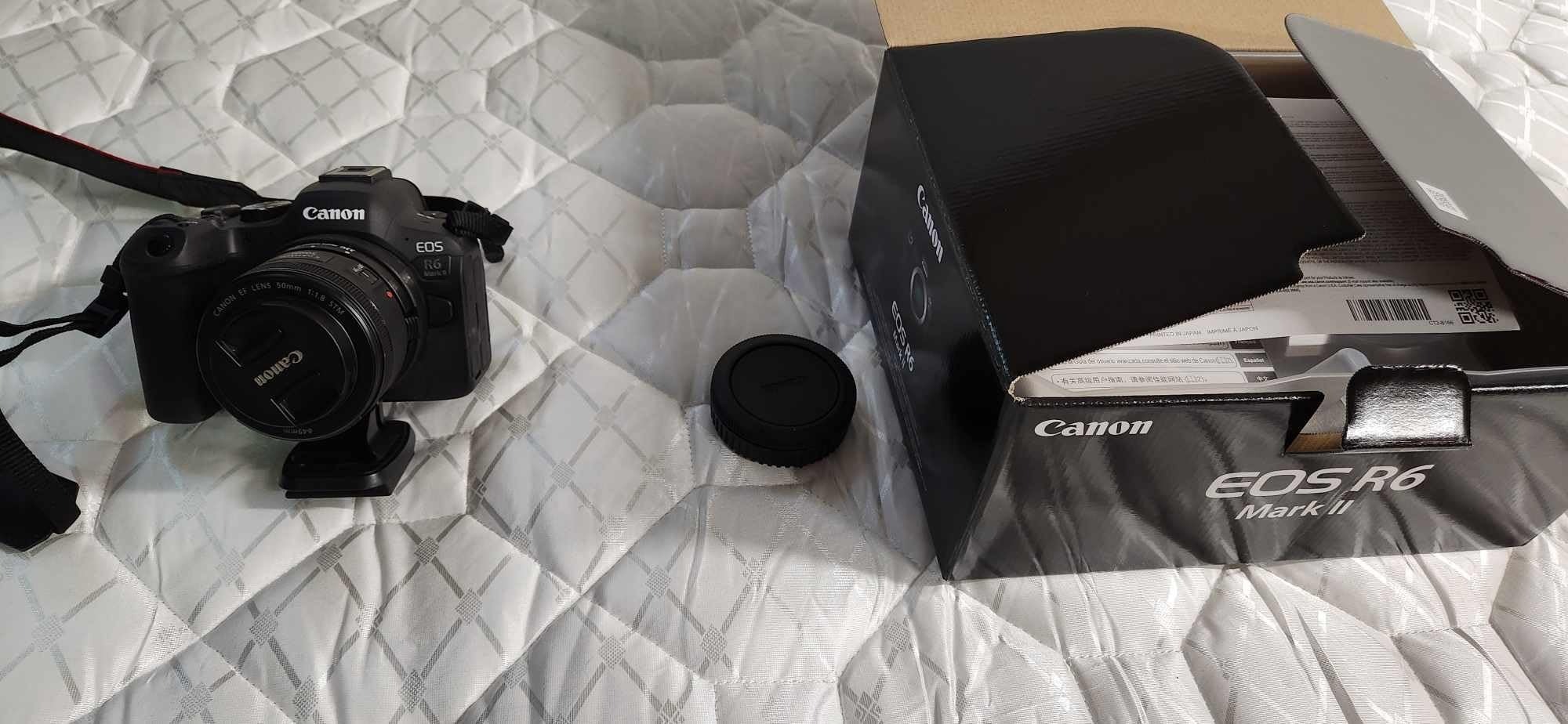 Canon EOS R6 Mark II - Image 7